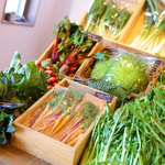 アプテカ フレーゴ - 