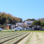 アプテカ フレーゴ - 