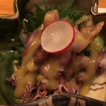 無法松 - ホタルイカ酢味噌