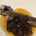 ブレストンコート ユカワタン - 