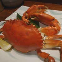 魚料理専門 魚魚一 - 