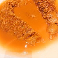 筑紫樓 銀座店 - 極上フカヒレの全貌！