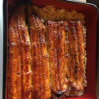 鰻割烹 伊豆栄 本店 - 
