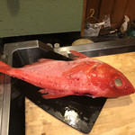 うを徳 - 勝浦金目鯛