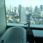 ザ・プリンスギャラリー 東京紀尾井町 - 左にテレビ。遠くに小さく東京タワーの上部がこんにちは。