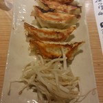 しずバル - 竜神豚の浜松餃子