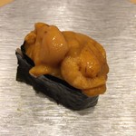 鮨 真菜 - 馬糞雲丹