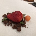 アクアヴィット - 