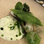 アクアヴィット - 