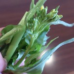 プルジャ ダイニング - ・辛子菜のような謎の葉野菜、このまま頂いた