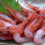 柿崎商店 海鮮工房 - 