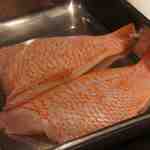 SIO syuji hijikuro - キンキ