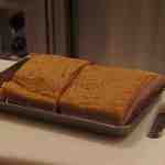 SIO syuji hijikuro - ベィーコン