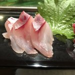 蛇之目寿司本店 - 