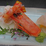 日光　千姫物語 - 車海老（半生の状態、甘みが際立ちます）