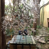 俵屋旅館 - 