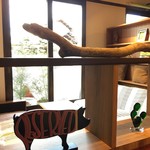 ウッド ブランチ - 