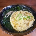 なかい - かき揚げそば わかめトッピング