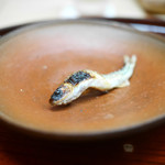 松川 - ホンモロコ