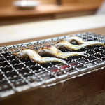 松川 - ホンモロコ