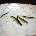 松川 - 活きのいいホンモロコ