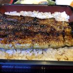 うなぎ 量深 - 