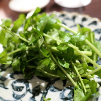 たでの葉 - クレソンサラダ