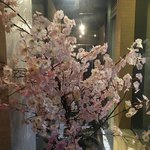 彩食酒蔵 桜花 - 