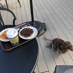 スターバックスコーヒー - 