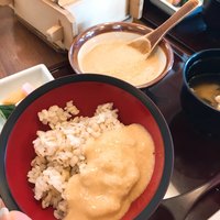 浅草むぎとろ 本店 - 