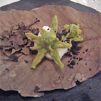 イル ギオットーネ 京都本店 - ふきのとうのフリット
