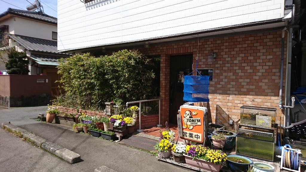 サリー name=