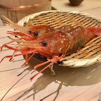 鮨 銀座 おのでら - 北海道産のボタン海老    ピチピチです♪