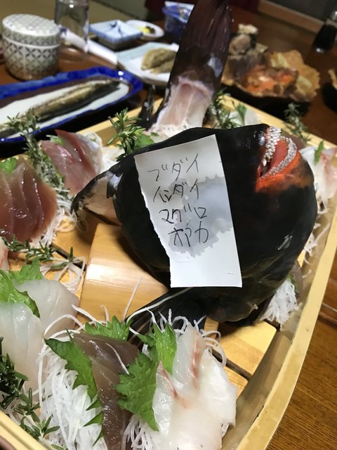 雲見温泉 食べる温泉宿 大漁 タイリョウ 松崎町その他 旅館 食べログ 雲見温泉 食べる温泉宿 大漁 タイリョウ 松崎町その他 旅館 食べログ