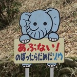 ズーカフェ - だめだゾウ