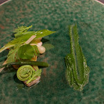 カモシヤ クスモト - 