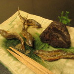 和ごころ 泉 - ⑦焼物　琵琶湖産のホンモロコは特大サイズ