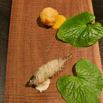 カモシヤ クスモト - 