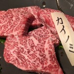 肉の変態集団 疾風ホルモン - 