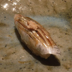 寿し おおはた - 