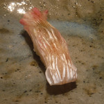 寿し おおはた - 