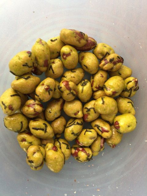 Mame Masa Kyotoekikyubu Poruta Ten