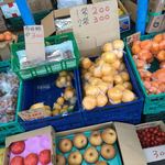 ぶさいく屋 - すげぇ！