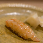 うを徳 - 蝦夷地羽幌（えぞちはぼろ）富山鰕（とやまえび、=ボタンエビ）