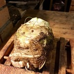 BARU 竹末 - 根セロリ