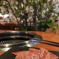 やきにくのバクロ 博多店 - カウンター席