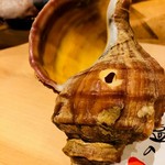 鮨　Shizuku - 襟裳沖つぶ貝…てかまるで法螺貝やん(笑)