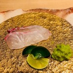 鮨　Shizuku - 土佐清水の石鯛