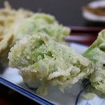 あそび - 蕗の薹