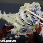 あそび - ナス天